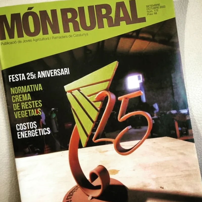 escultura personalizada 25 aniversario